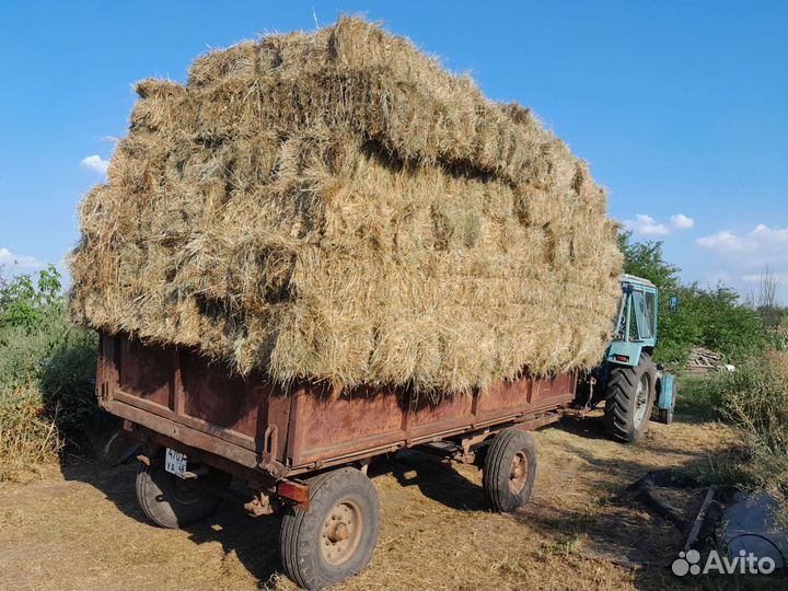 Сено 2023 тюки и рулоны разнотравье солома подстил