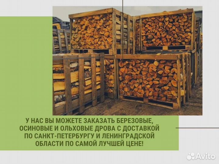 Дрова березовые. Колотые