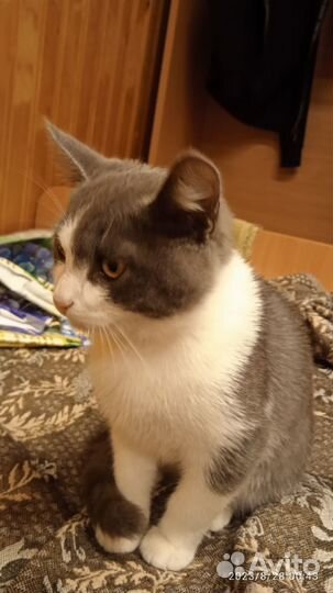 Фима - лучший друг