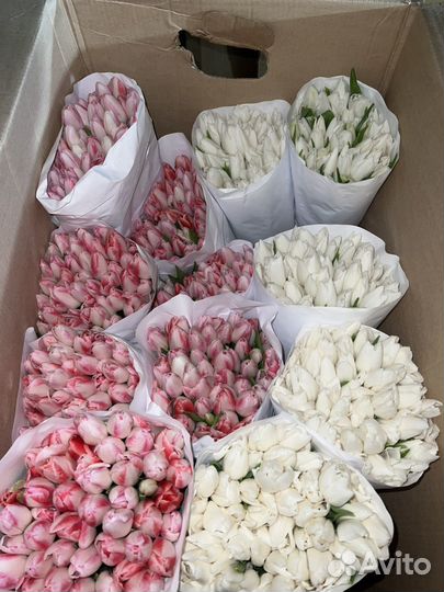 Тюльпаны к 8 марта букеты