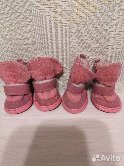 Обувь для маленьких собак