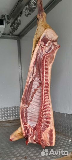 Парное мясо Оптом и в розницу Свинина