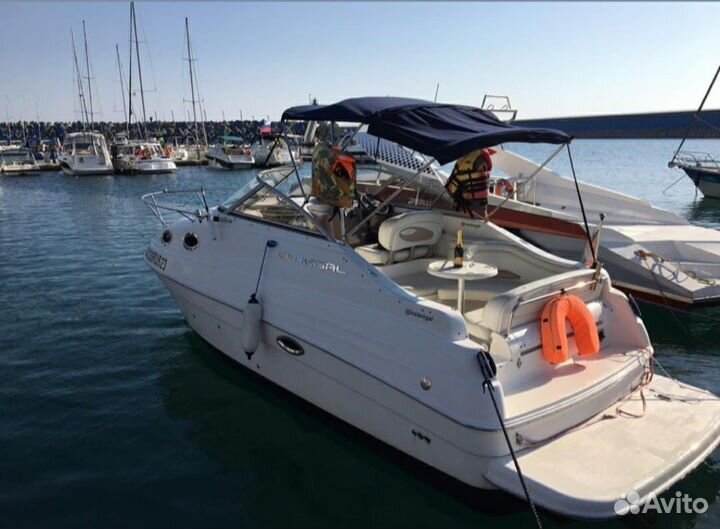 Прогулки на катере на встречу С дельфинами