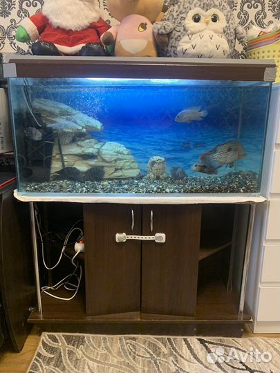Аквариум