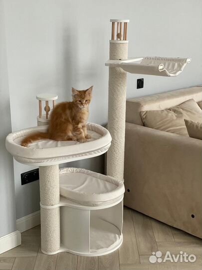 Когтеточки и домики для кошек