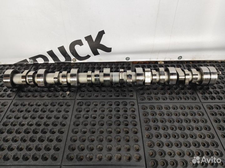 Распредвал 2018г. Daf XF106