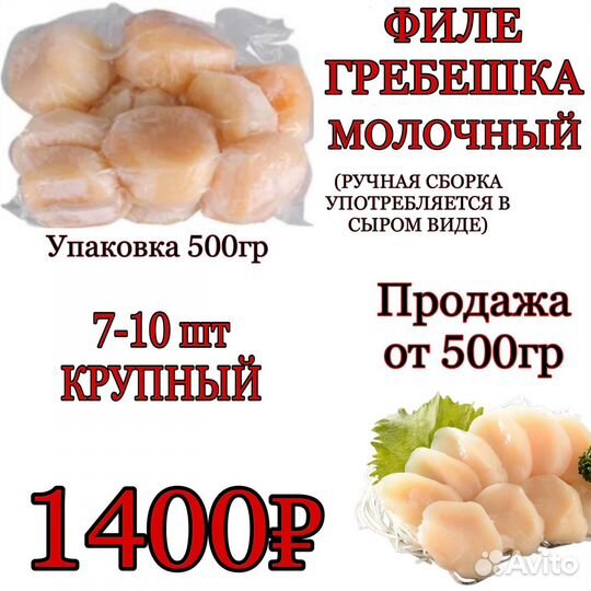 Гребешок гигантский