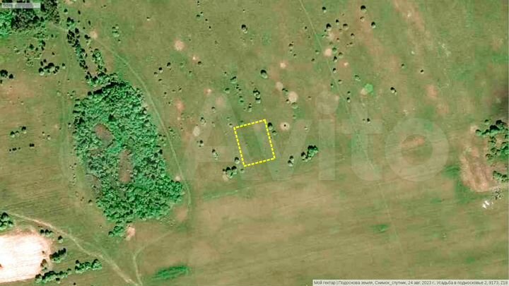 Участок 20 сот. (СНТ, ДНП)