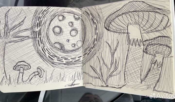 Рисунки и Иллюстрации на заказ