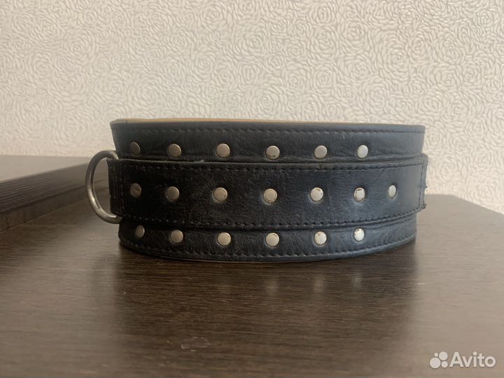 Ошейник для собак кожа