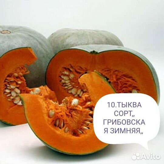 Семена тыквы