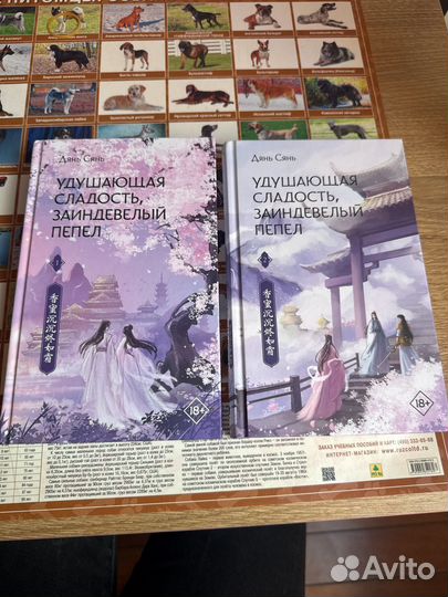 Дянь Сянь. Дилогия