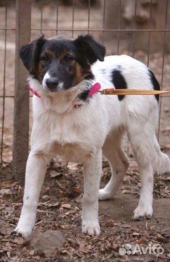 Помоги не задержаться в приюте