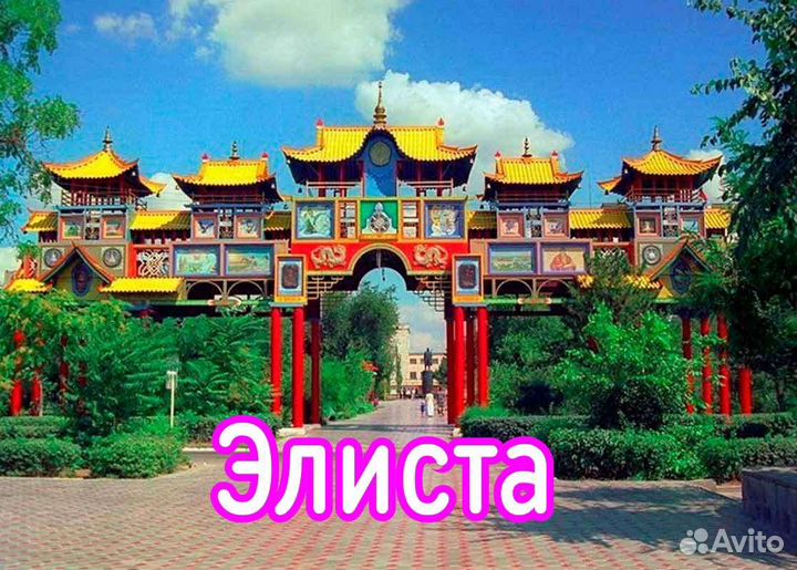 Тур в Элисту