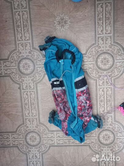 Костюмы на собак