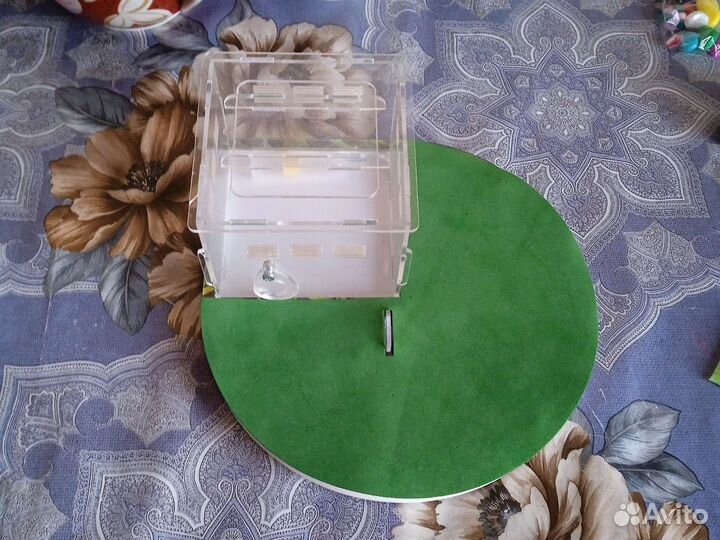 Формикарий