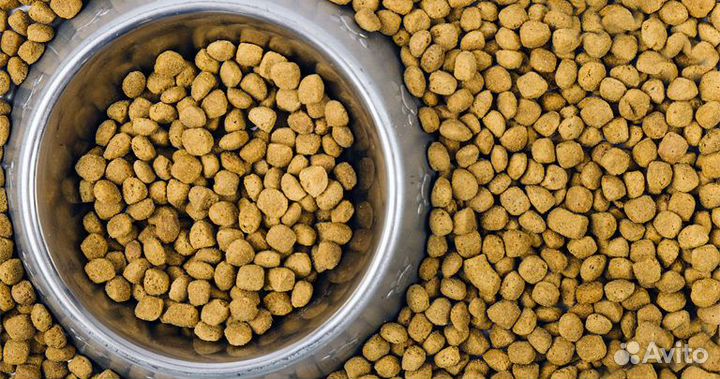 Собачий корм 35 мяса