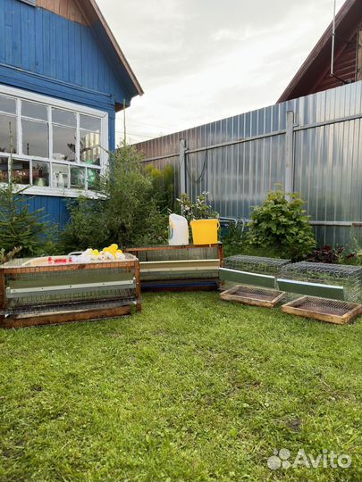 Клетки для перепелов