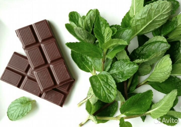 Мята сортовая коллекционная