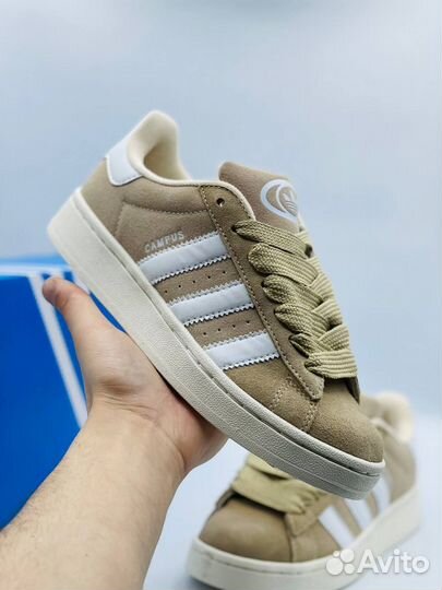 Adidas campus (37)