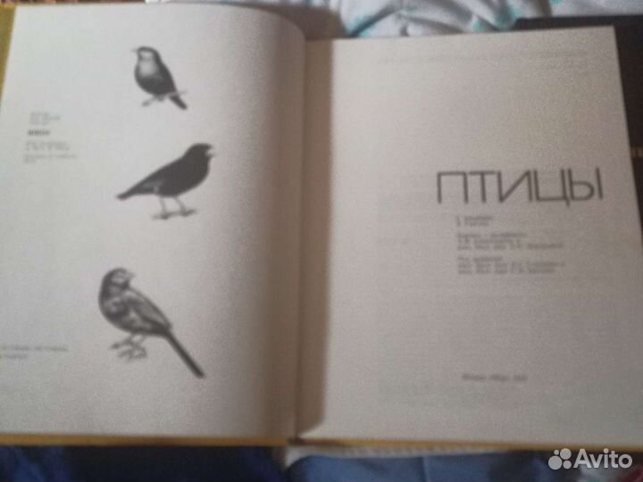 Великая энциклопедия животных