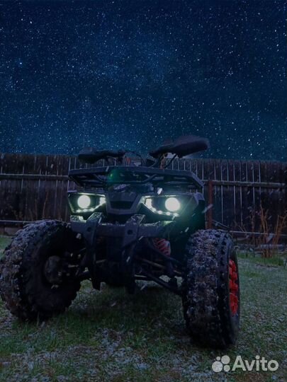 Квадроцикл promax wild 175