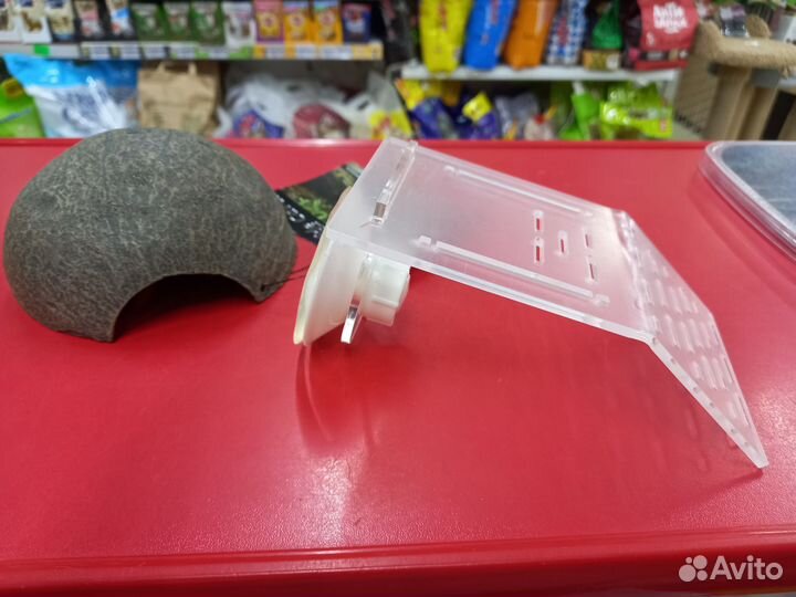 Для водных черепах