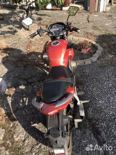 Racer 250