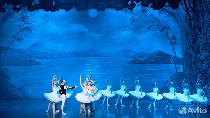 Билеты на балет Лебединое озеро в Большой театр