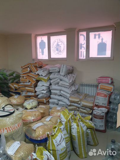 Солод курский