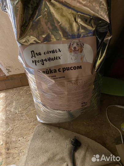 Корм для собак