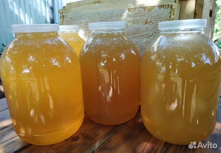 Мёд липовый чистый 2022 г (гш213)