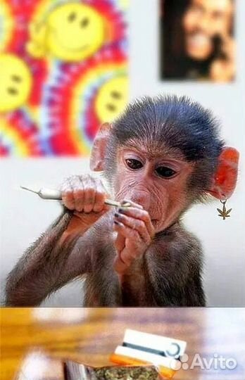 Мастер маникюра и педикюра без опыта