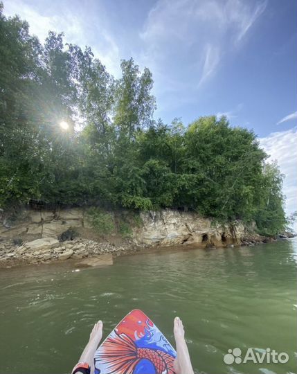 Аренда SAP board сап бордов