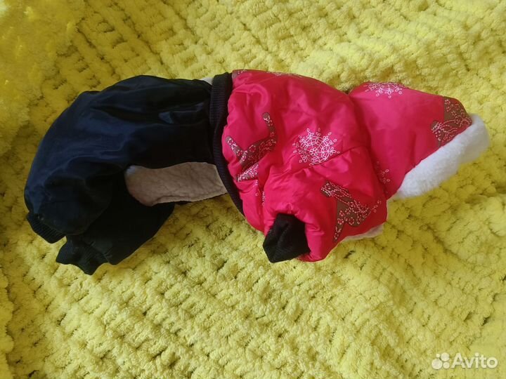 Одежда для маленьких собак