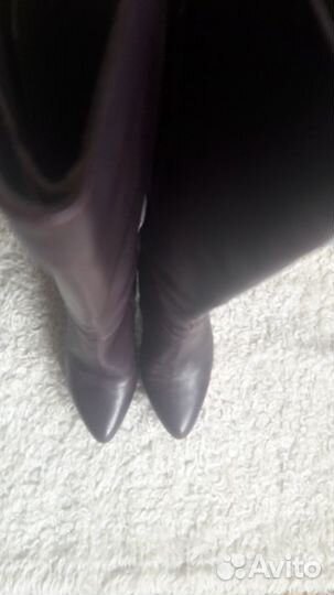 Сапоги демисезонные