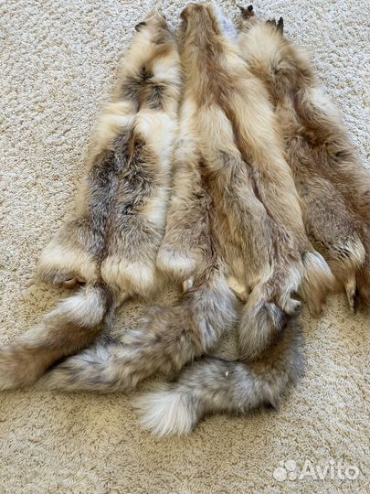 Лисья шкура