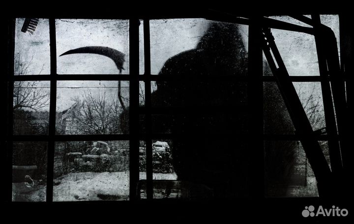 Услуги фотографа