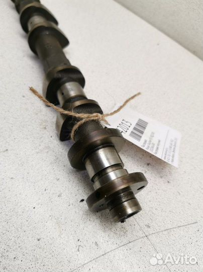 Распредвал. Nissan Skyline V35 VQ25DD