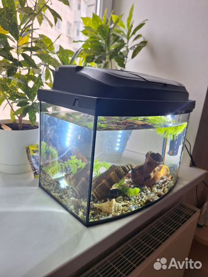 Аквариум 35-40л
