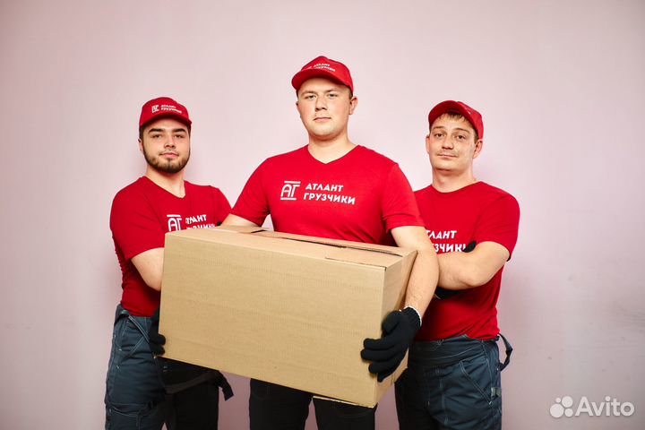 Грузчики