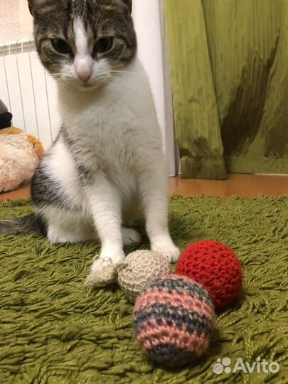 Вязанные мячики для котят