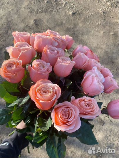Роза цветы букет опт