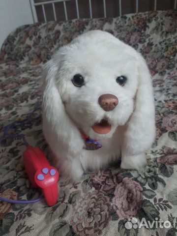 Интерактивная собака