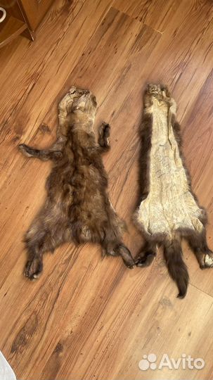 Шкурки соболя финка