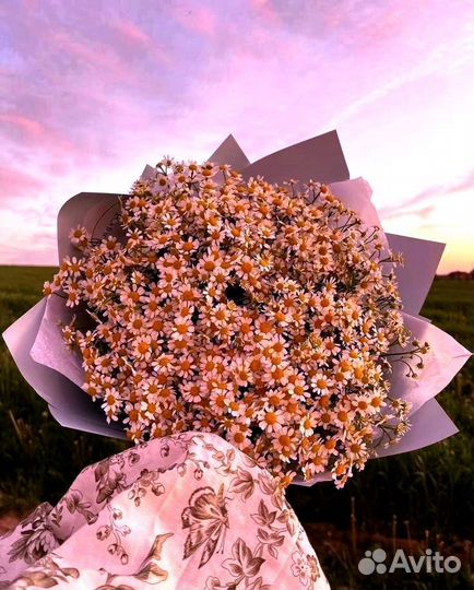 Букет ромашек