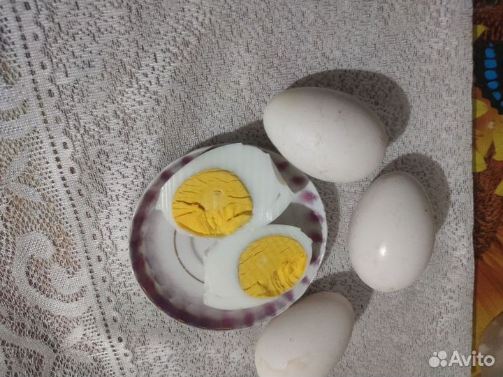 Гусиное яйцо