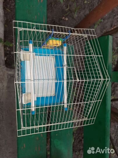 Клетка для птиц бу