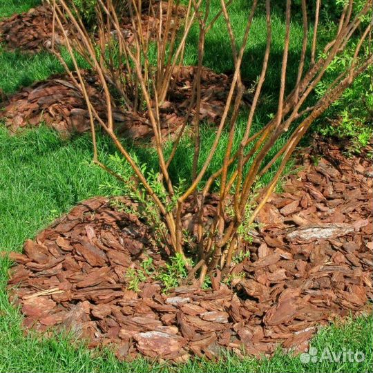 Сосновая кора/доставка