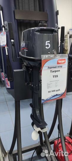 Лодочный мотор Тарпон Tarpon Sea Pro 5 S